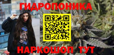 ECSTASY Будённовск