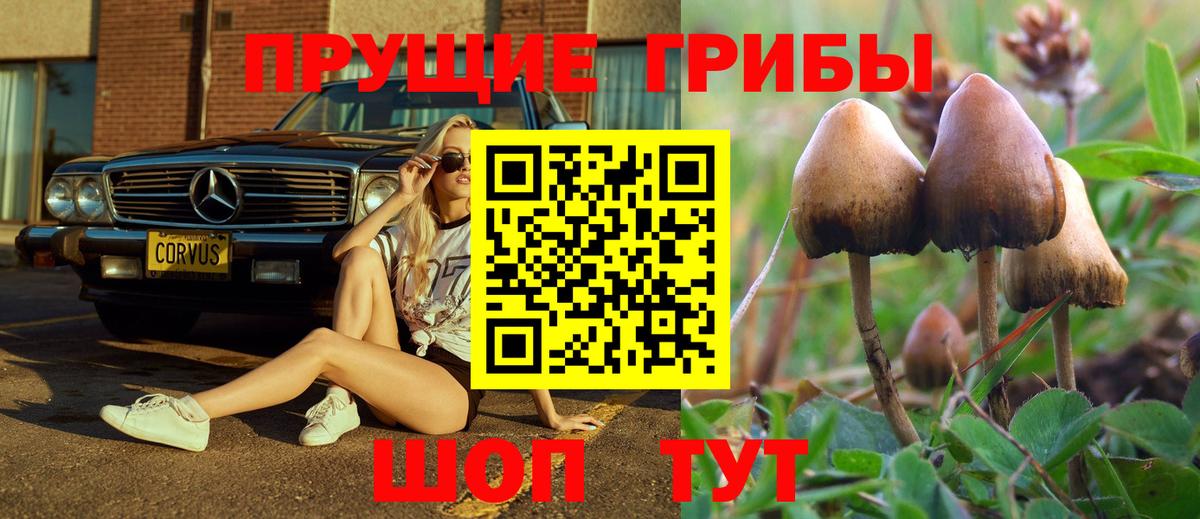 Галлюциногенные грибы прущие грибы  Галлюциногенные грибы прущие грибы  Вход с VPN  дарнет шоп  Валуйки 