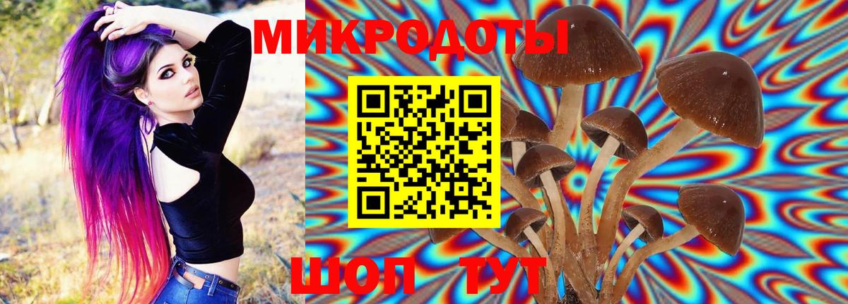Галлюциногенные грибы мицелий Валуйки